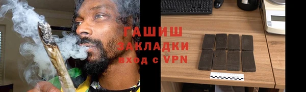 соль ск Новозыбков