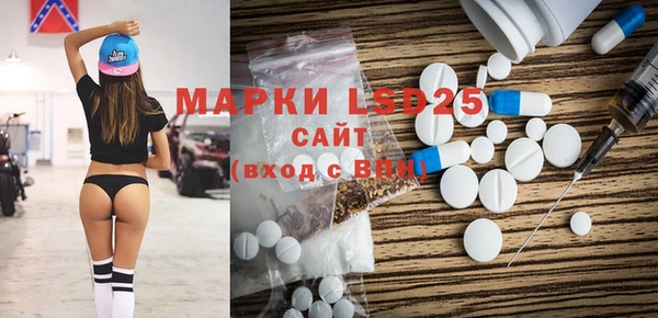 соль ск Новозыбков