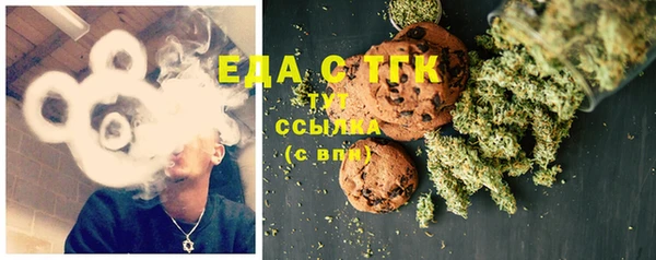 соль ск Новозыбков