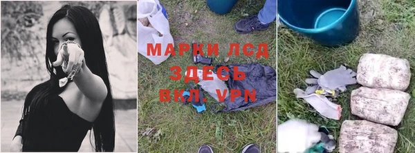 соль ск Новозыбков