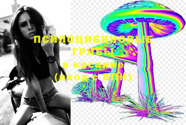 соль ск Новозыбков