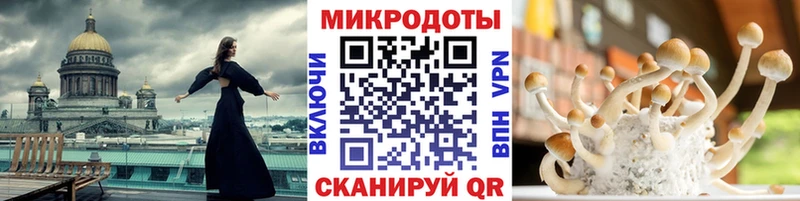 Купить где  Рыльск  Псилоцибиновые грибы Cubensis 
