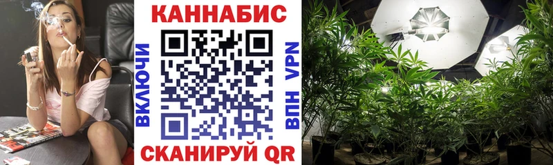 Каннабис AK-47 Купить закладки Рыльск